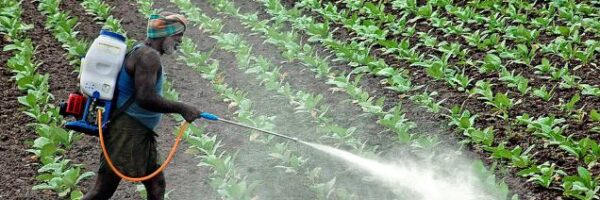 17VZONGFARMER_GJI23_358645f 17VZONGFARMER_GJI23_358645f
