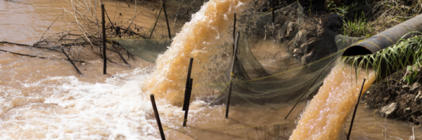 Water pollution
