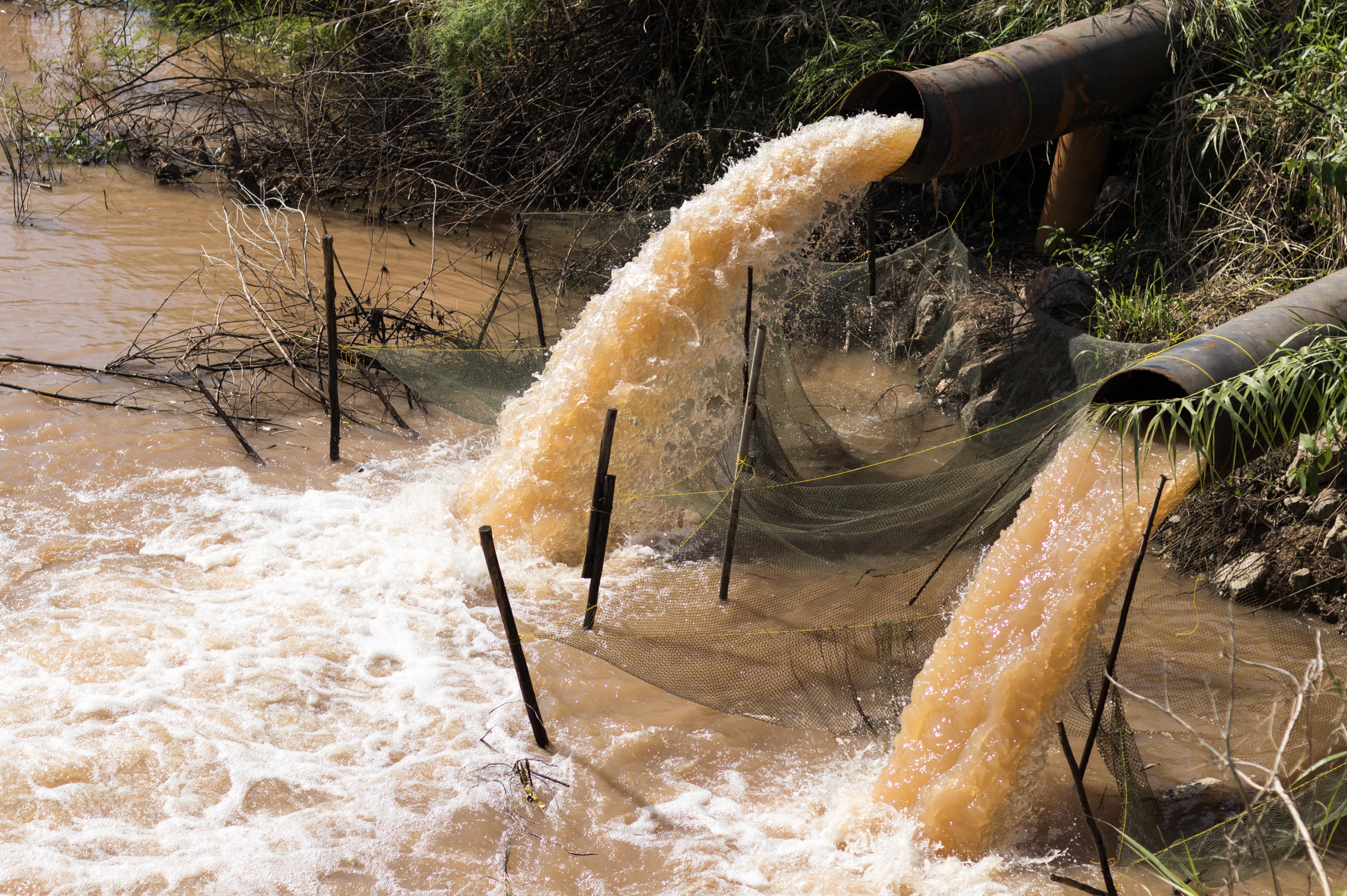 Water pollution