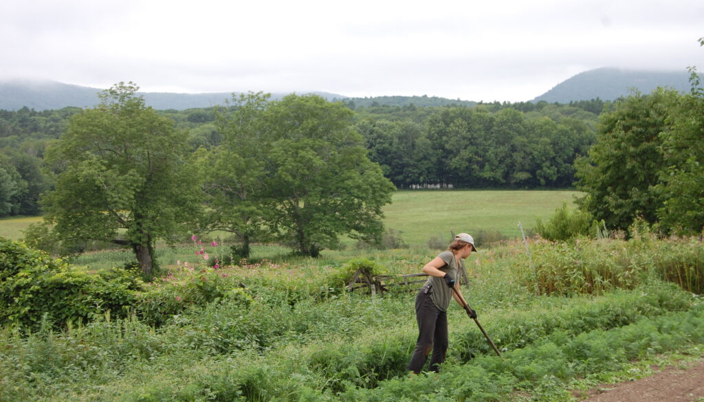 A farm in maine