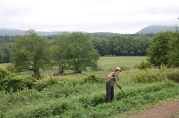 A farm in maine