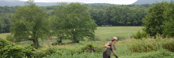 A farm in maine A farm in maine