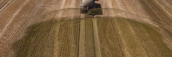 Farm3