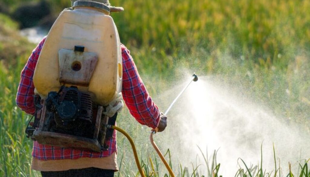 farmer-spraying-pesticide-royalty-free-image-1629408657