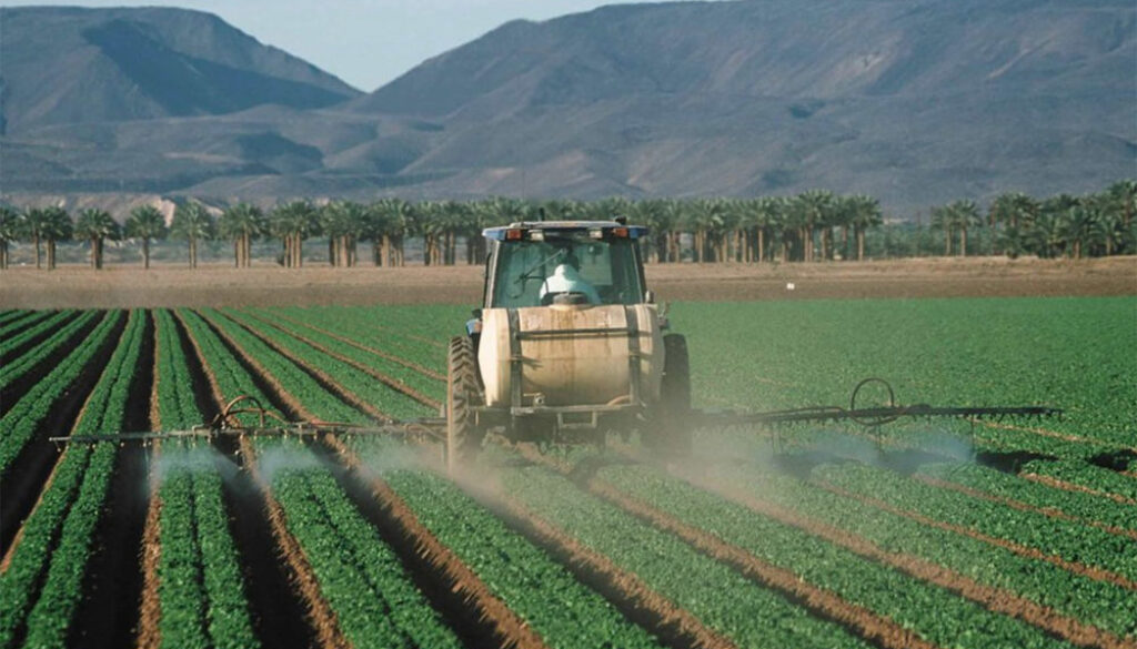 pesticide-spray-lettuce-farm-1000x600