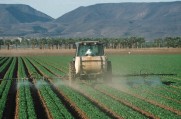 pesticide-spray-lettuce-farm-1000x600