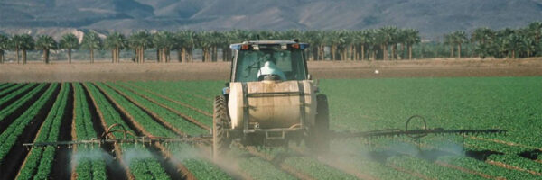 pesticide-spray-lettuce-farm-1000x600