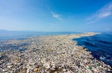 GreatPacificGarbagePatch