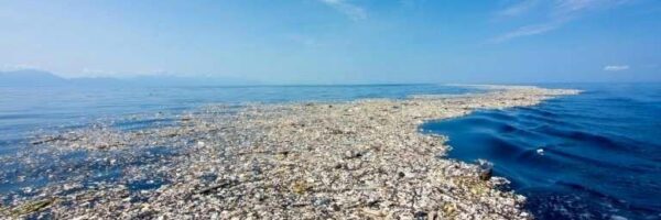 GreatPacificGarbagePatch GreatPacificGarbagePatch