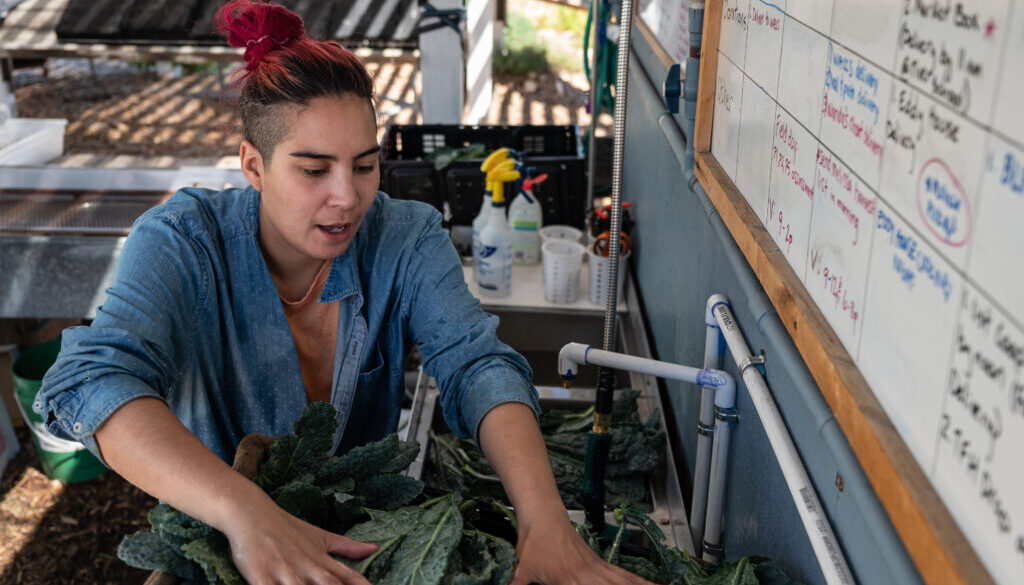 Washing Kale