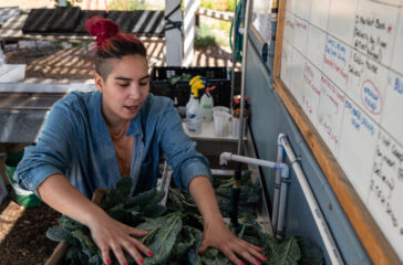 Washing Kale