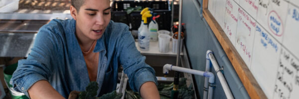 Washing Kale Washing Kale
