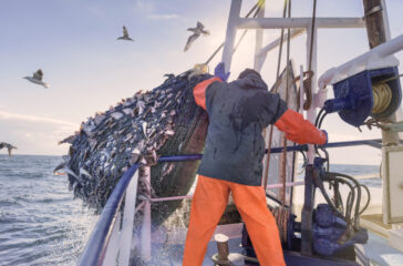 overfishing-new-lede