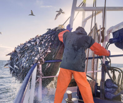 overfishing-new-lede