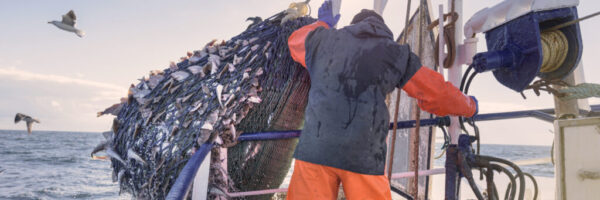 overfishing-new-lede overfishing-new-lede