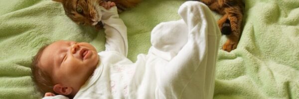 PetFoodTextileBlog