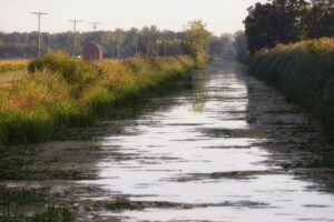 (A canal near Wisner, Mich., directs runoff from nearby farm fields toward Saginaw Bay, part of Lake Huron. Photo by J. Carl Ganter)