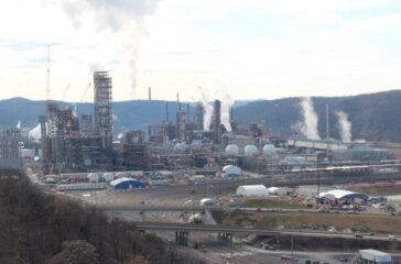 shell plant 3