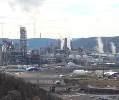 shell plant 3