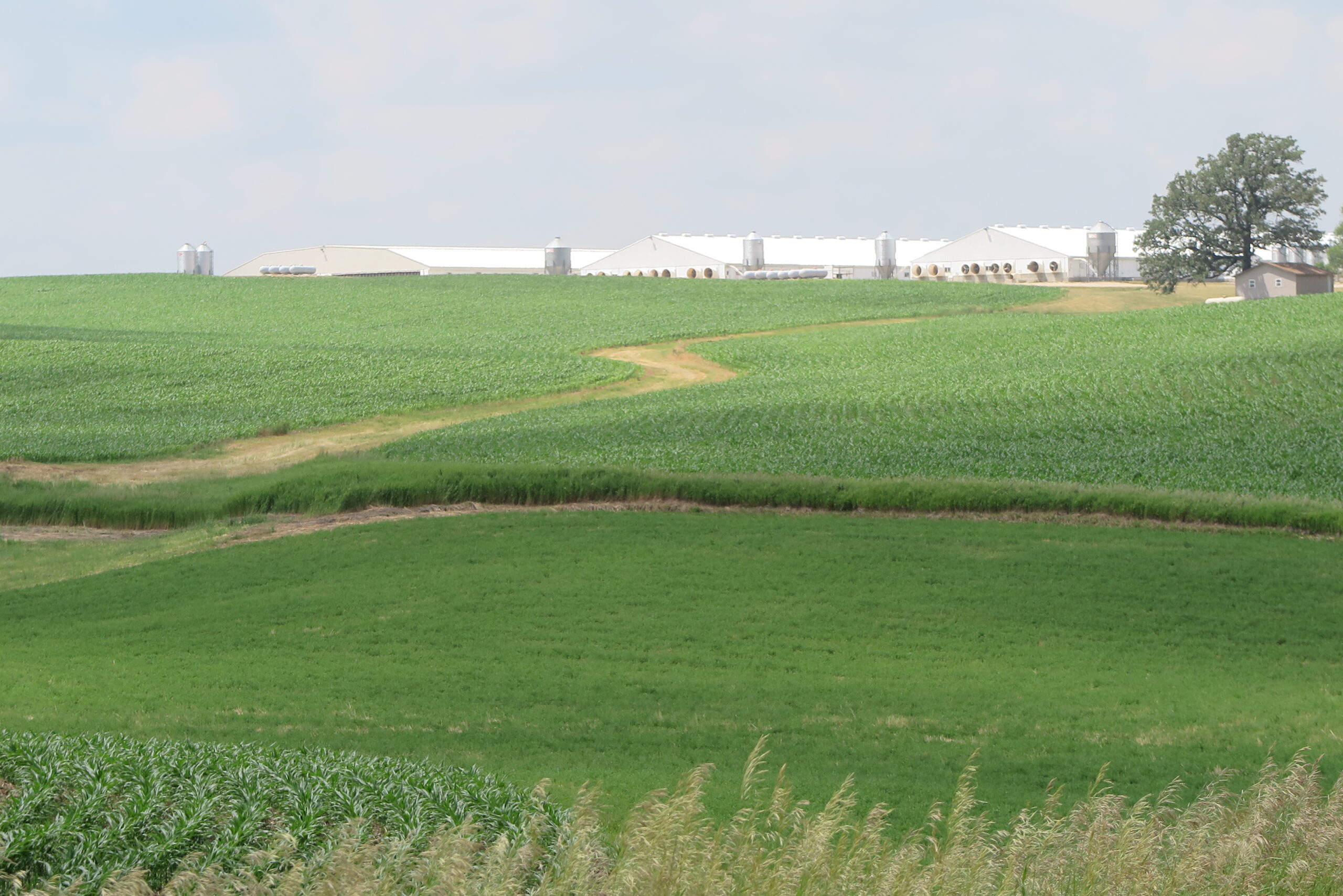 Reporting project examines the scandal of US farm pollution