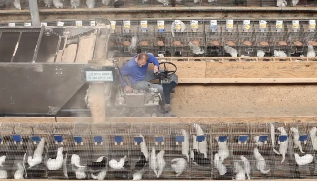 Zimbal_filling nest boxes