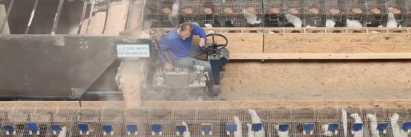 Zimbal_filling nest boxes Zimbal_filling nest boxes
