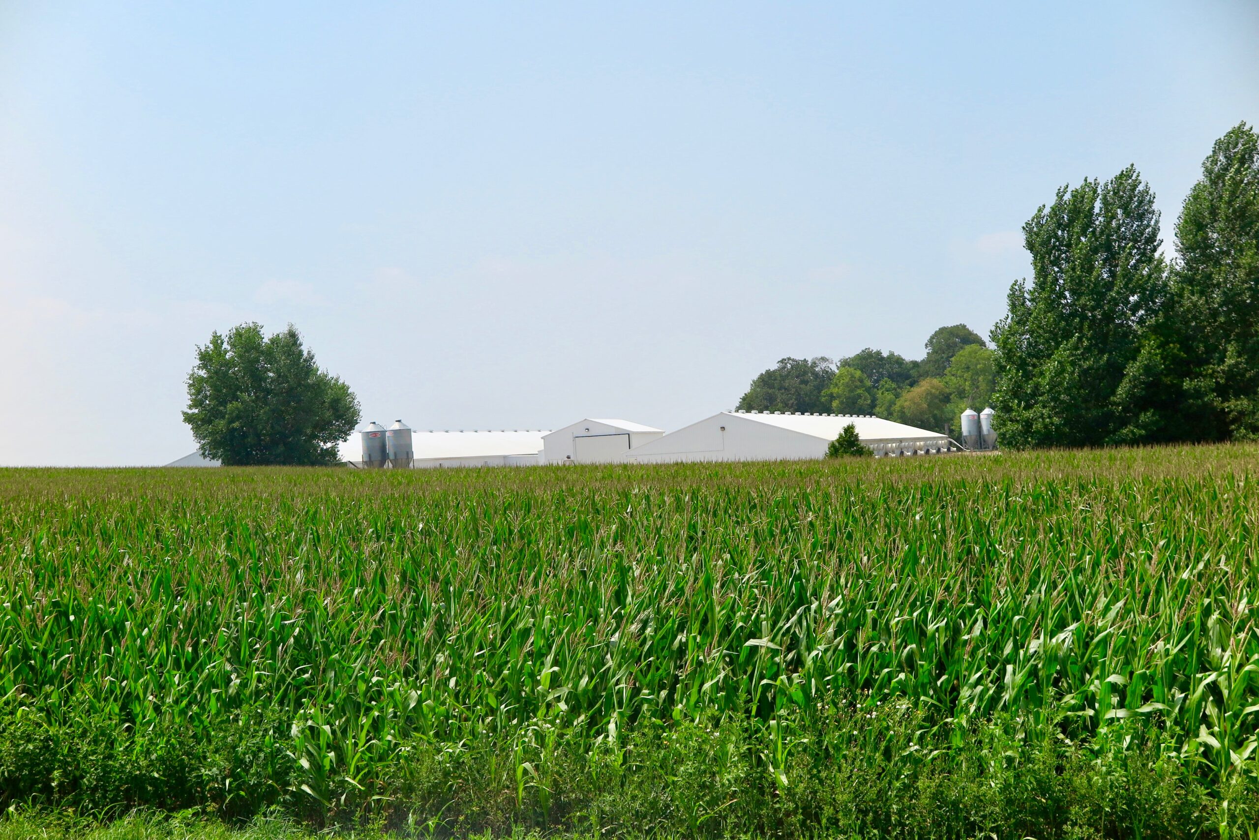 Advising farmers on fertilizer, universities add to water pollution woes 