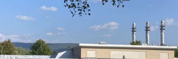 Allendale school