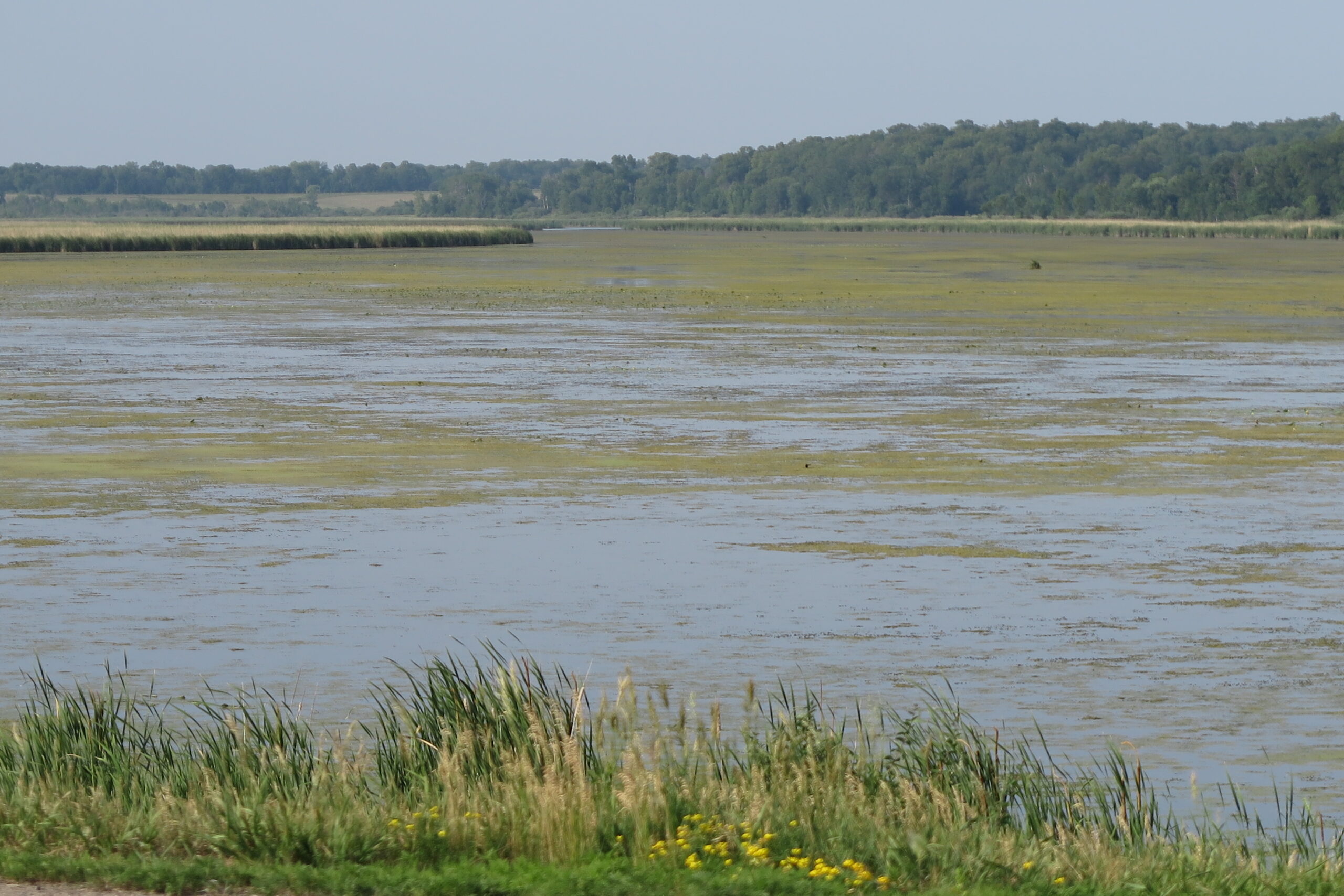 Cancer in the corn belt sparks actions to fight farm chemical contamination