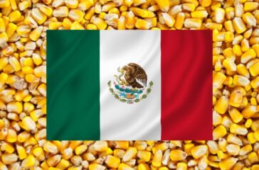 Mexico-flag-on-corn_cr-Adobe-Stock_E