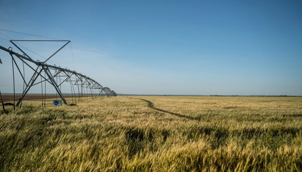 farming Photo by Joel Dunn on Unsplash