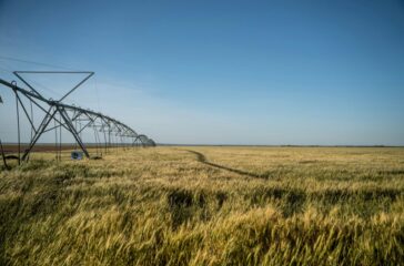 farming Photo by Joel Dunn on Unsplash