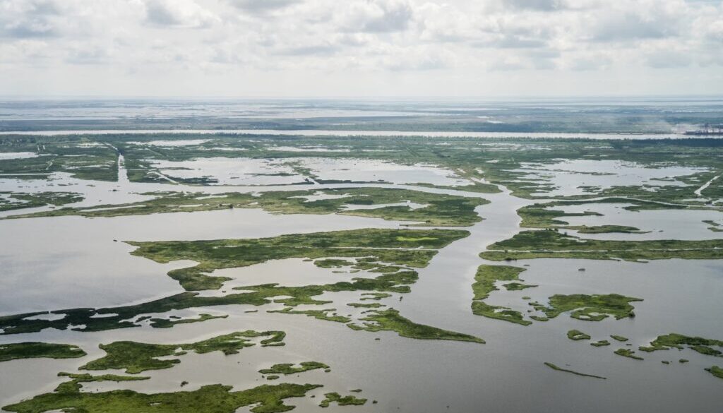 plaquemines aerial wwno