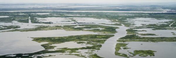 plaquemines aerial wwno