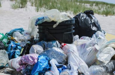 plastics pollution