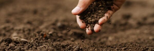carbon in soil carbon in soil