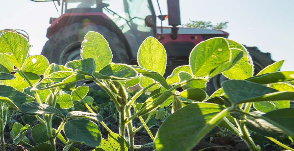 In early February, something rather extraordinary happened in the world of American farming. For the second time, a federal court banned the hazardous