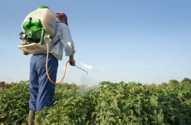 California pesticides