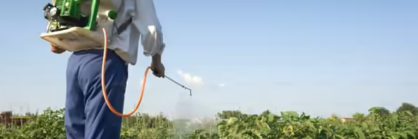 California pesticides California pesticides