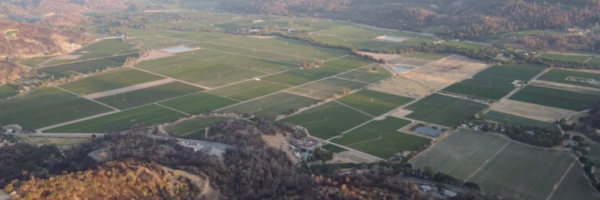 From.CloverFlatLandfill.at.Elevation.looking.at.NV.Vineyards From.CloverFlatLandfill.at.Elevation.looking.at.NV.Vineyards