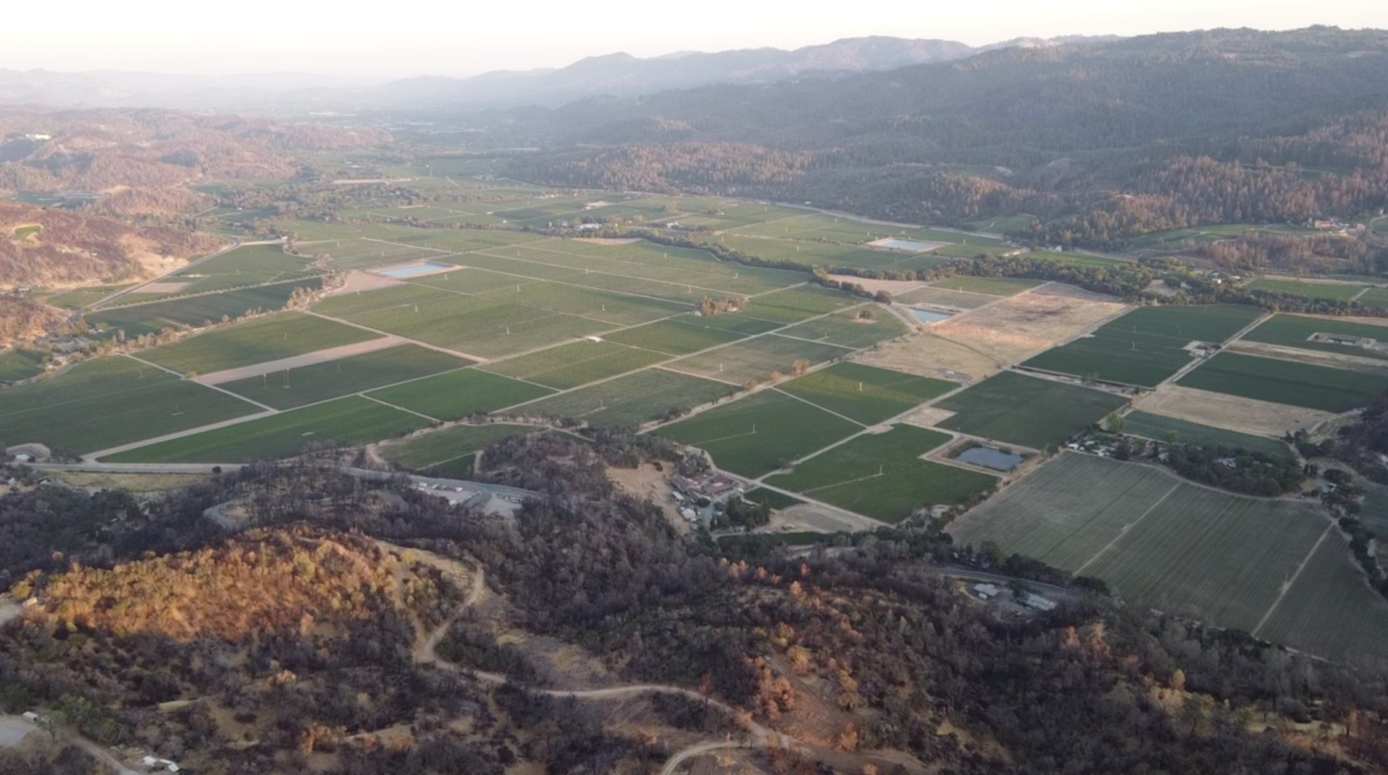 Worries in wine country Napa Valley wrestles with chemical