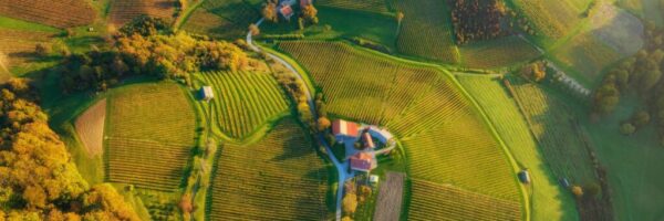 ales-krivec-A8CB_q11VIE-unsplash ales-krivec-A8CB_q11VIE-unsplash
