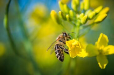 getty-images-ekUrPa6qcgU-unsplash