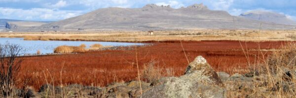 usfws-tule-lake-refuge-peninsula-sump-1b-1jpg usfws-tule-lake-refuge-peninsula-sump-1b-1jpg