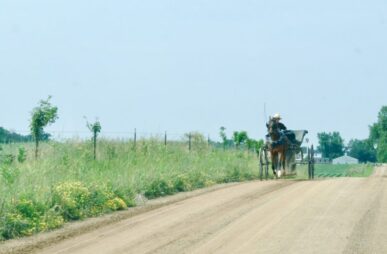 amish buggy