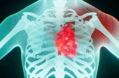 Graphic showing a human heart