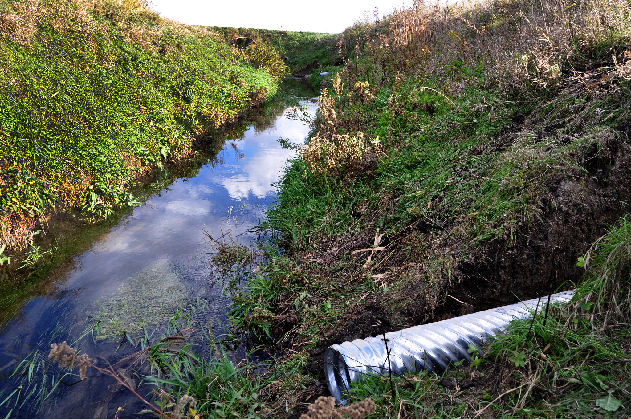 WOTUS: A narrowing EPA definition is reshaping the Clean Water Act ...