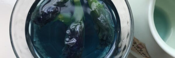 40289992923_991041c217_k Butterfly pea flower food dye