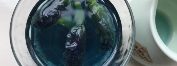 40289992923_991041c217_k Butterfly pea flower food dye