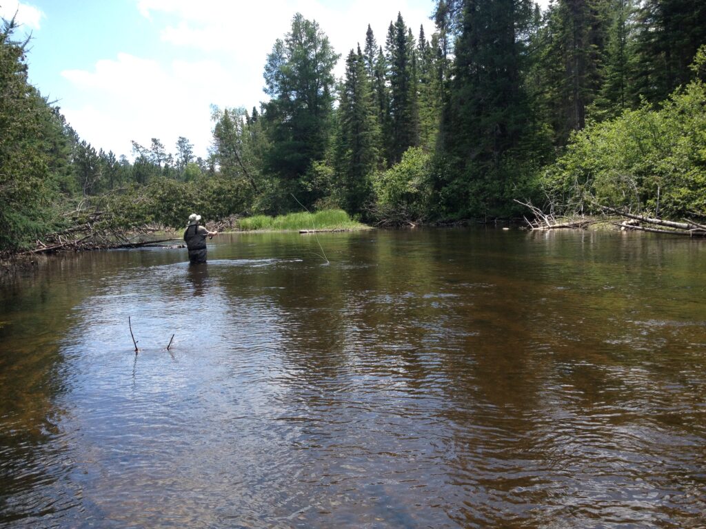 Angler on the Au Sable River in Michigan.